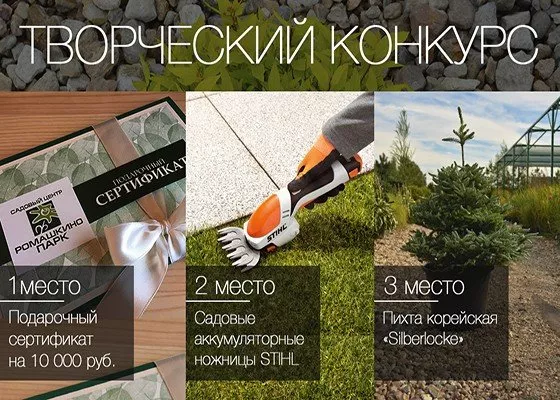 Призы конкурса