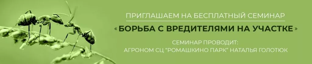 Борьба с вредителями на участке