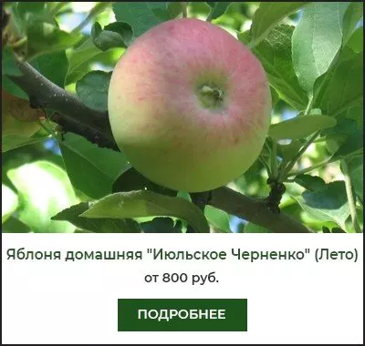 Июльское Черненко Июльское Черненко