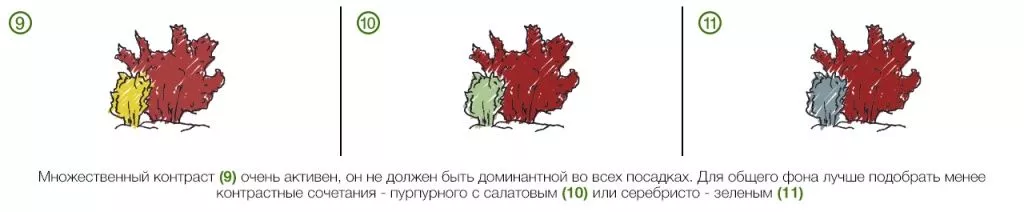 контраст в ландшафтном дизайне контраст в ландшафтном дизайне