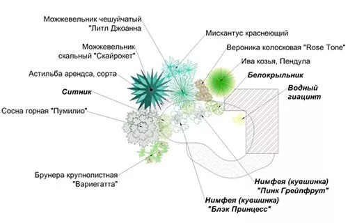 Схема водоема