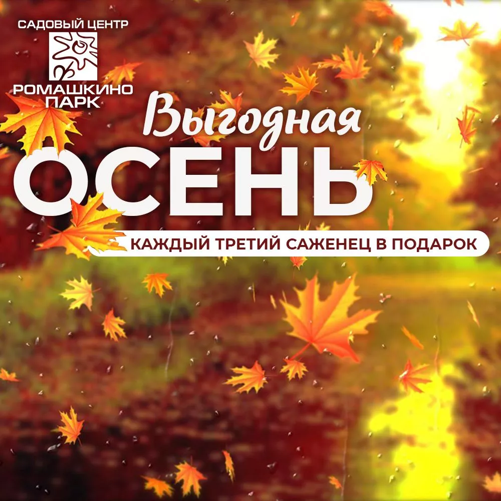 Выгодная осень.jpg
