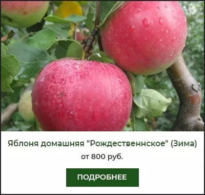 Рождественское Рождественское