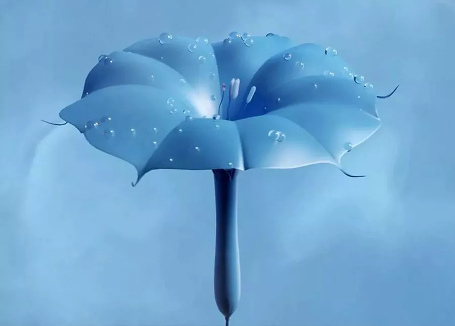 WGSN & COLORO Tranquil Blue (Спокойный синий) 114-57-24