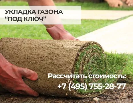 устройство газона цена