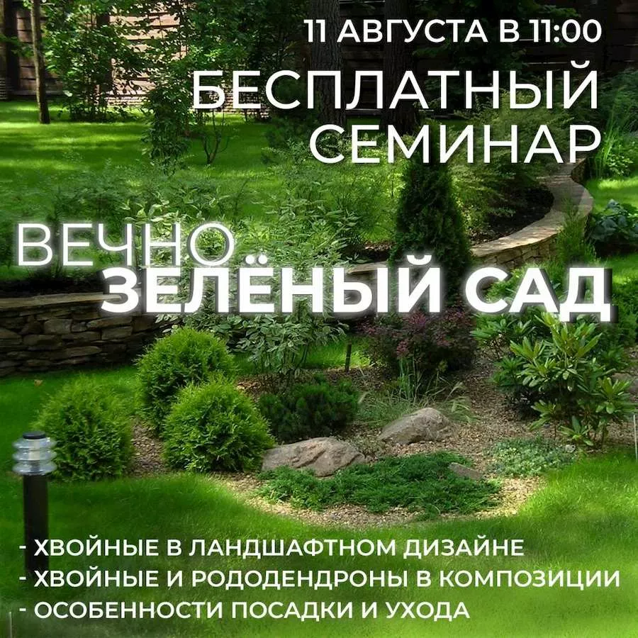 vechnozeleny_sad