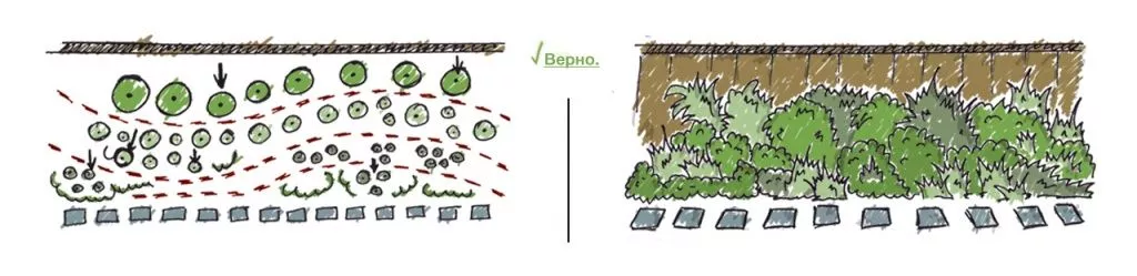 правильная посадка правильная посадка