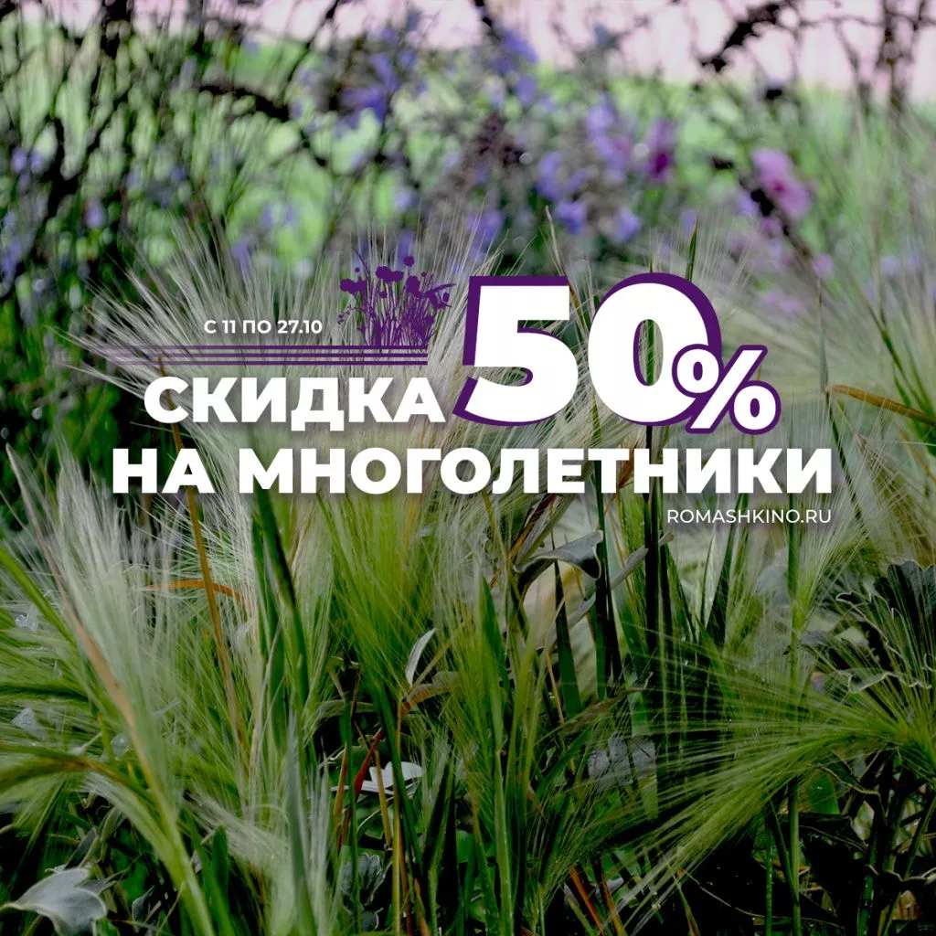 Акция на многолетники в октябре