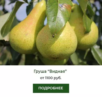 Видная