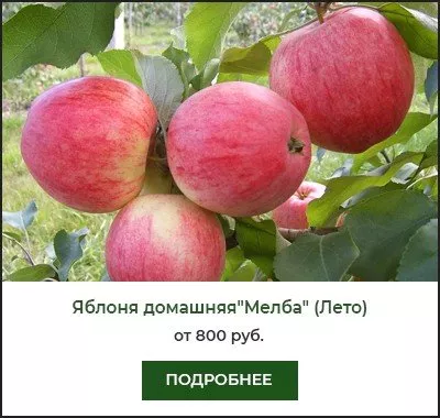 Мелба Мелба