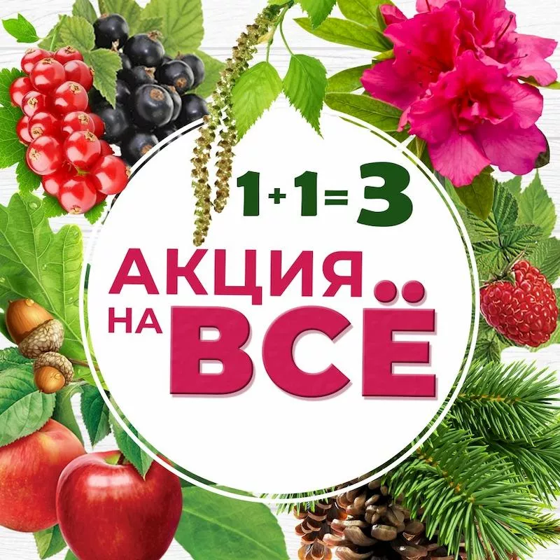 Акция на все растения 