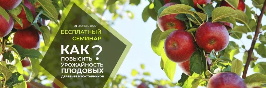 Анонс семинара