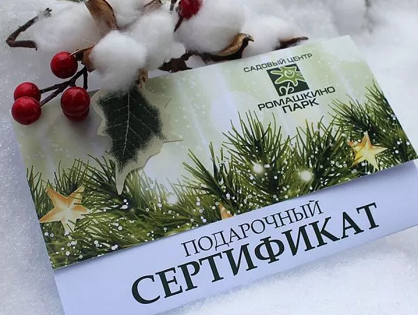 Подарочный сертификат Новогодний 4