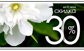 Ароматное лето: скидка 30% на чубушники