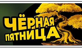 Черная пятница в Ромашкино Парк