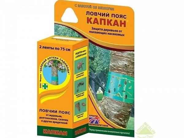 Капкан (ловчий пояс)