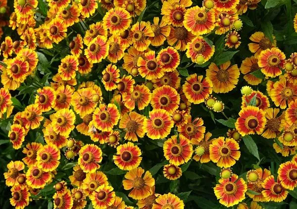 088