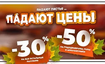 Падают листья — падают цены! Объявляем осеннюю акцию