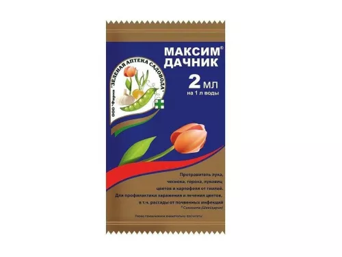 Максим Дачник