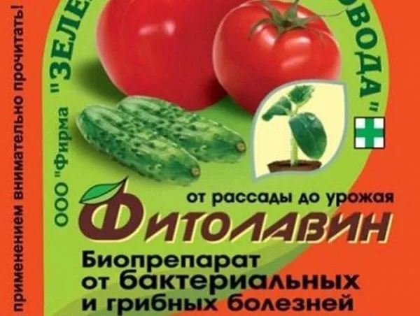 Фитолавин (ампула 2х2 мл)