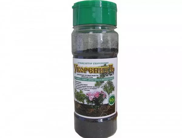 Укоренить банка 50гр