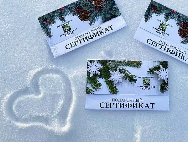 Подарочный сертификат Новогодний 3