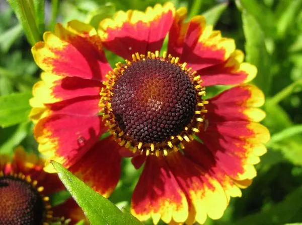 099