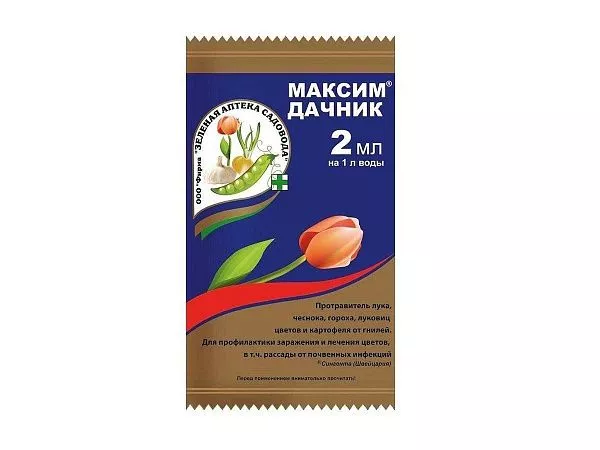 Максим Дачник