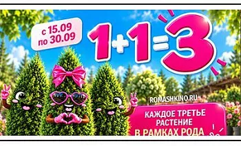 РОМАШКИНО ПАРК — 12 ЛЕТ. Празднуем вместе!