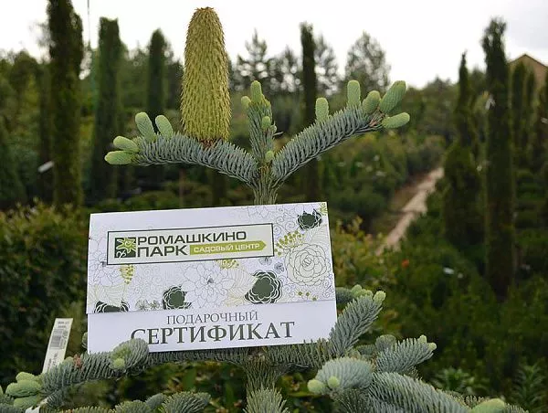 Подарочный сертификат 2