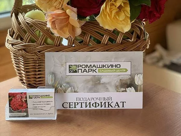 Подарочный сертификат 3