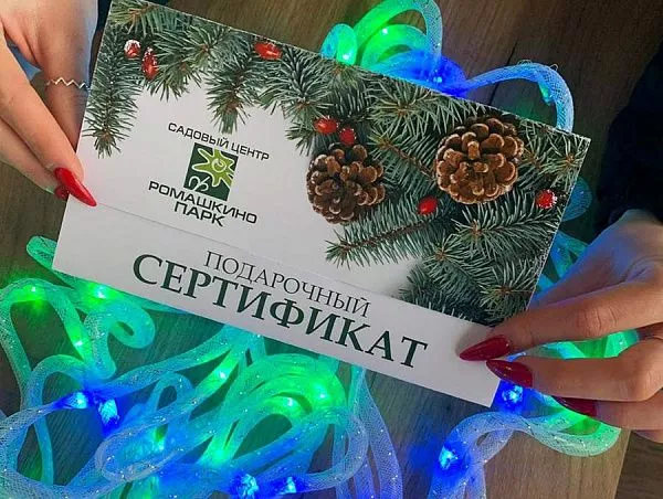 Подарочный сертификат Новогодний 1