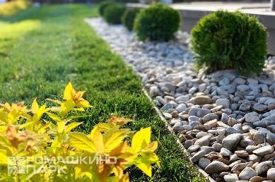 Бордюр из туи в каменной отсыпке