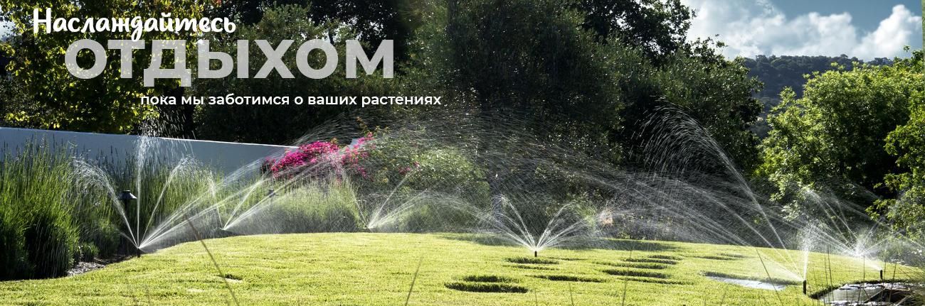 Садовый центр Ромашкино Парк: питомник растений и саженцев деревьев в ...