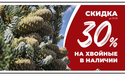 −30% НА ВСЕ ХВОЙНЫЕ