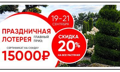 Розыгрыш в честь Дня рождения