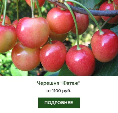 Фатеж Фатеж
