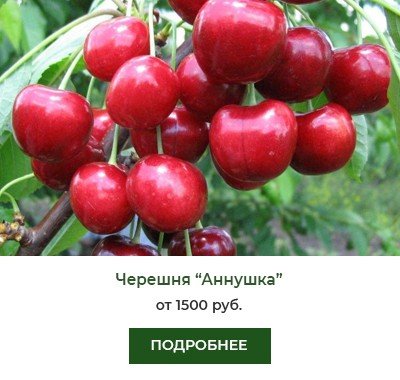 Аннушка Аннушка