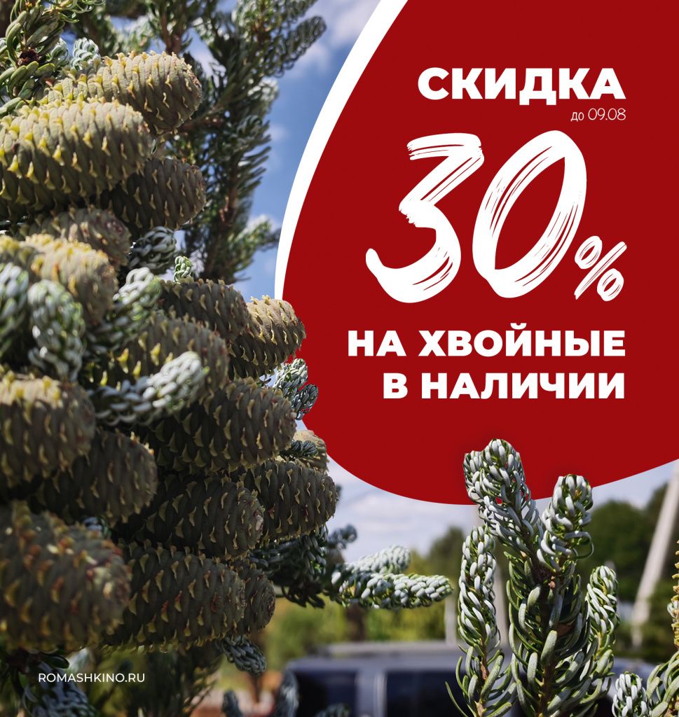 Скидка 30% на хвойные в наличии