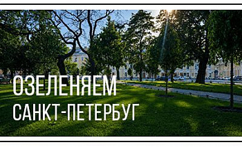Ромашкино Парк выходит на новый уровень городского озеленения