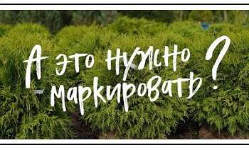 Маркировка рекламы в интернете с учетом специфики зеленой отрасли