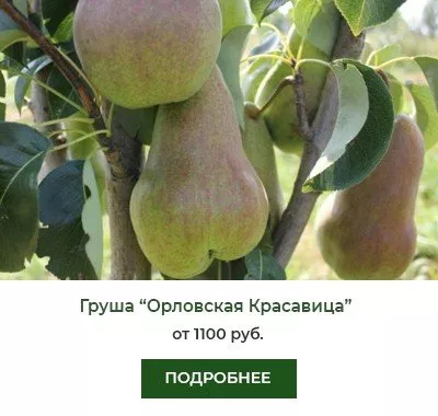 Режим полива для максимального роста